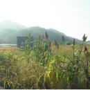 홍천토지부동산중개사무소 이미지