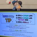 야옹이돈까스 | 조촌동맛집 야옹이카츠 : 군산 돈까스 맛집 추천