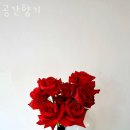 공간향기