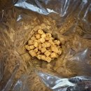 루이앤독스 | 버석버석