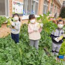 직지초교병설유치원 이미지