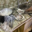 알라딘펜션 이미지