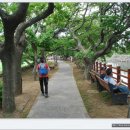 제주 올레길 17코스 이미지