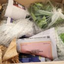 힐링천사약국 이미지