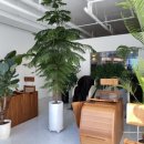 모티빅 피트니스 이미지