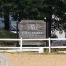 Royal Saddle Equestrian Society 이미지