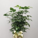 길음농장 이미지