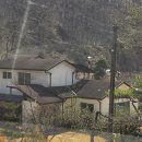 막지리184 이미지