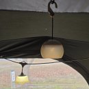 김여사+PC | 노르텐트 걈8pc아미그린+파세코 팬히터CAMP-5000N(자라섬캠핑장 B27)