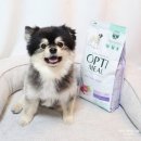 독     정 | 소형견 사료 옵티밀 어덜트독 오리 기호성 좋은 강아지 사료 추천해요