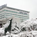 상명대학교 이미지