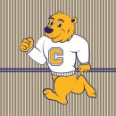 컬쳐드 크로스핏 이미지