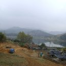최석남 Daum카페