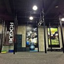 크로스핏 핏불 이미지