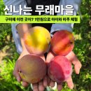 신바람 | 구미 농촌체험마을 아이들과 다녀온 신바람나는무래마을 후기