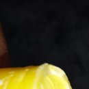 동해남부유치원 이미지