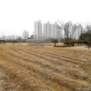 농업체험공원 이미지