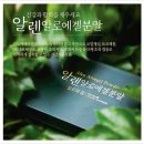 마임솔루션 이미지