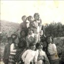 진흥농약사 이미지