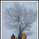 삼영목장 이미지