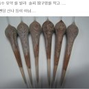 솔피 티스토리