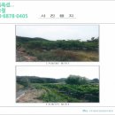 미암면사무소 이미지