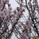 화수초등학교 이미지