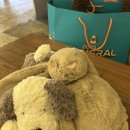 토끼언니케이크 | [성수가볼만한곳 | 젤리캣 2탄팝업] 토끼인형과 강아지 구매후기 / 2층인형 자세히 리뷰