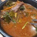 큰시장흑염소 이미지