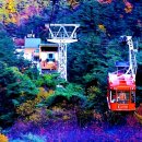 영남가설산업