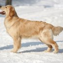 메이네B 이미지