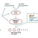 샤넬유통 이미지
