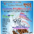 겔마미라클