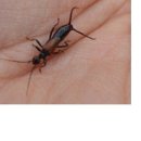 이천매곡초등학교 이미지