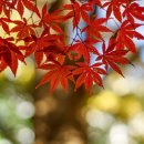 석정빌딩 이미지