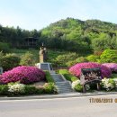 박달재자연휴양림 이미지