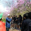 평촌고등학교 이미지