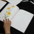 예쁜꽃그리기(보테니컬아트) 이미지