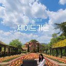 굴봉산역 | 춘천 제이드가든 추천 튤립축제 5월 가족여행지 가볼만한곳