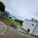 천대국치길 이미지