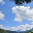 태백목장 | GOAT 만나러 갑니다.. 강원도 태백 산양 목장 몽토랑 방문 후기