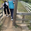 신길목장 이미지