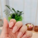 Feel뷰티 | 고성동 네일샵 손빠르고 실력 좋은 덕뷰티 내돈내산 후기