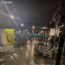 모슬피아짐 네이버블로그