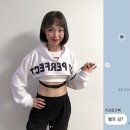 오나미 카카오 검색결과