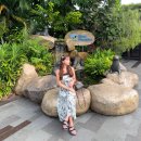 리버퀘스트 | 싱가포르 리버원더스 보트 예약 가격 아마존 리버퀘스트