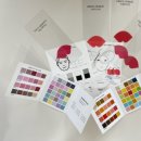 에스티씨엘 | 부산퍼스널컬러 이미지씨엘 웜톤쿨톤 테스트