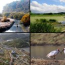 창녕생태곤충원 이미지