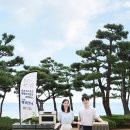 서울펫케어 이미지