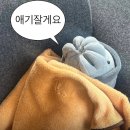 마포-서교-마포-315 | 3월 공기밥